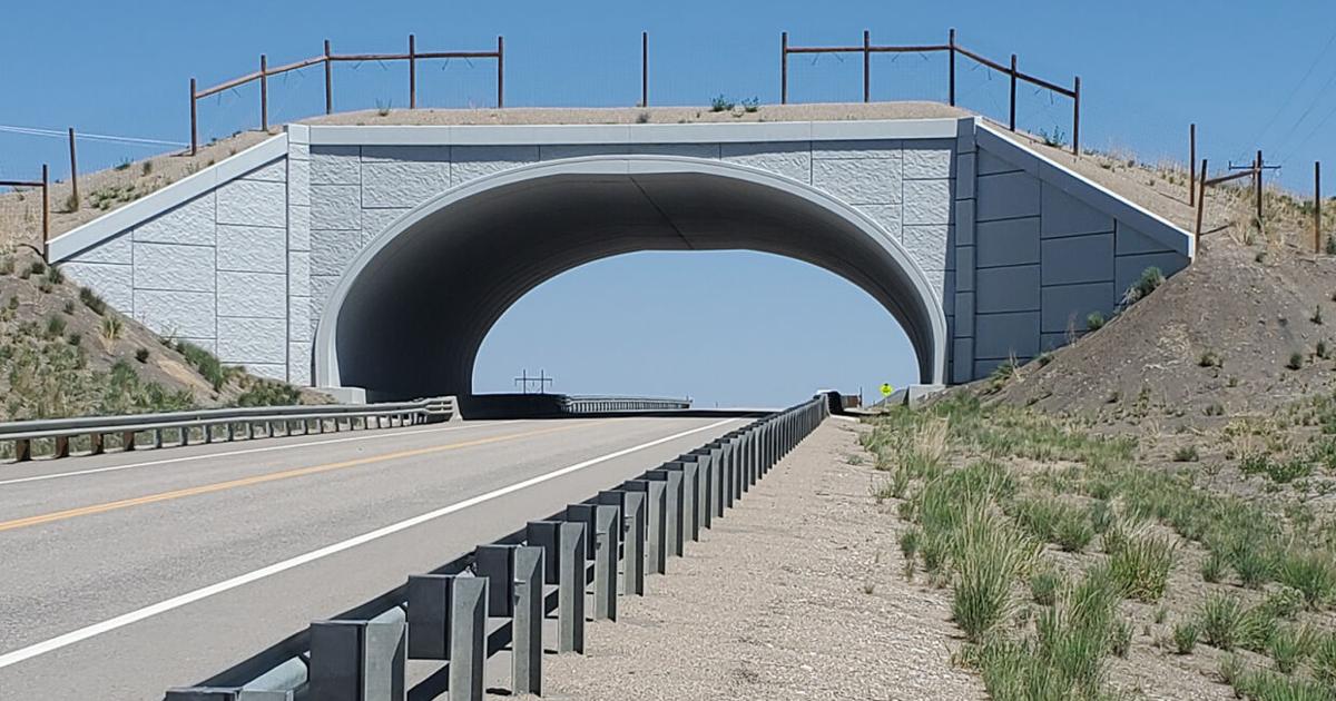 Wildlife crossing bill relying on voluntary fees awaits Polis action