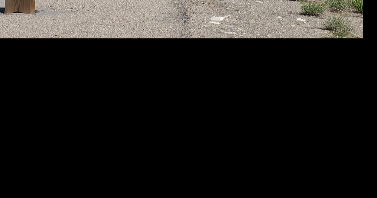 Wildlife crossing bill relying on voluntary fees awaits Polis action