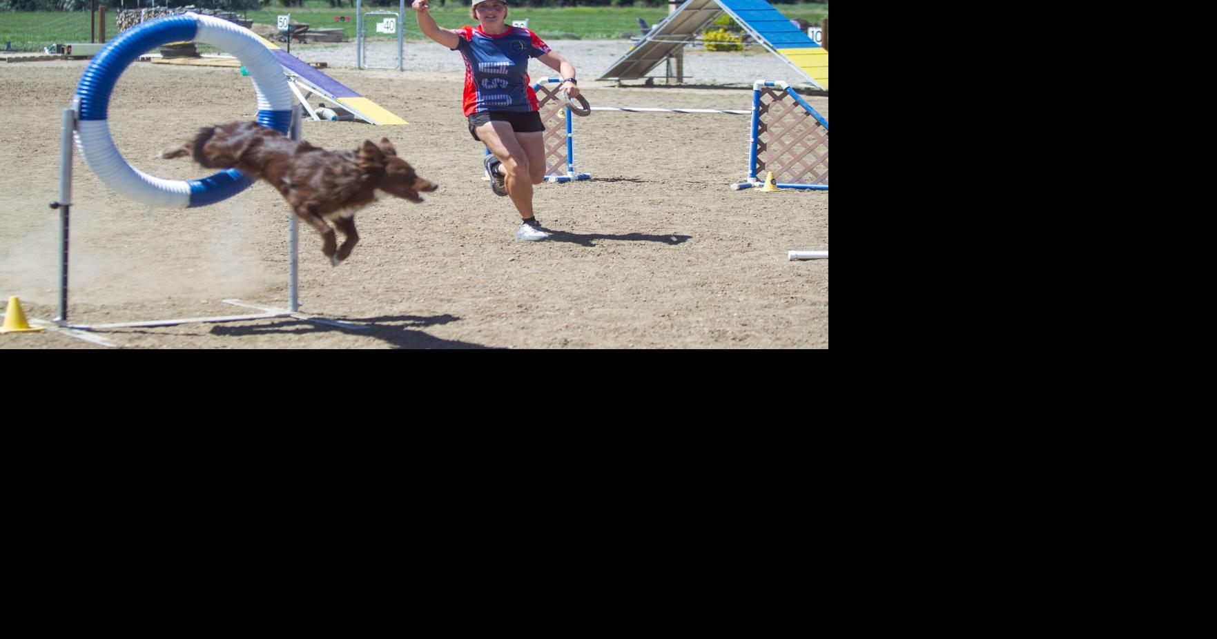 In the Brink! of an eye: Border collie, handler speed to medals at world championship