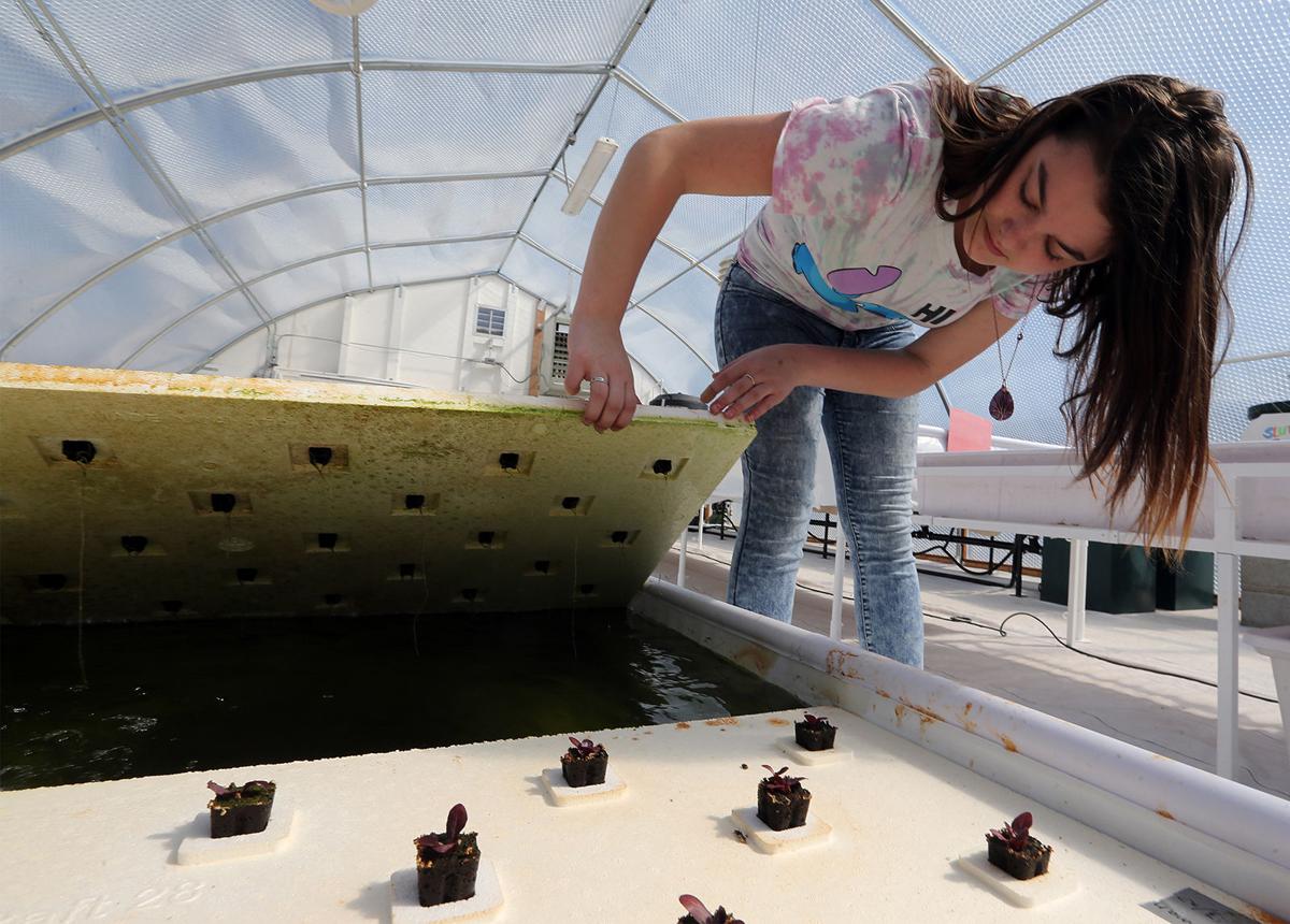 The Future Of Food Western Colorado Gjsentinel Com