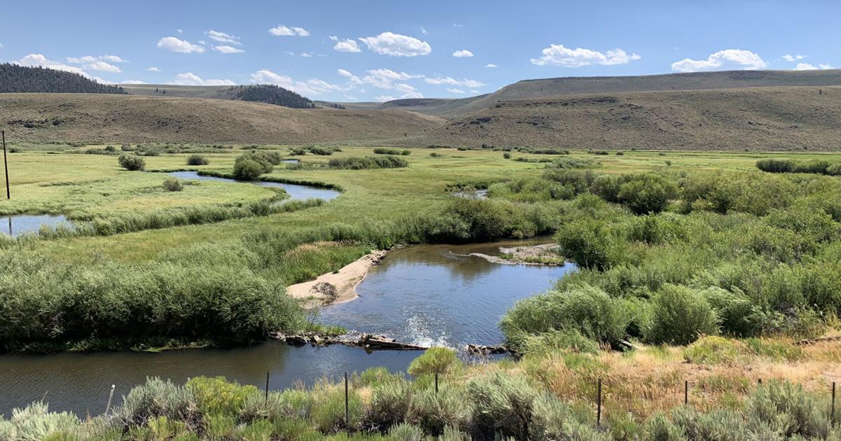 Gunnison ranch to loan water for the environment | Western Colorado ...