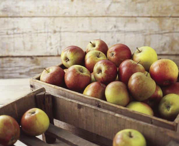 Small Granny Smith Apple - Each, Small/ 1 Count - Metro Market