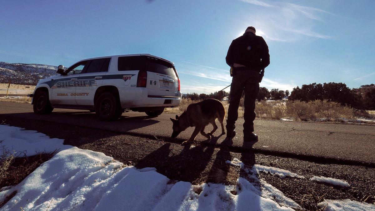 MIKE MILLER MESA COUNTRY SHERIFF