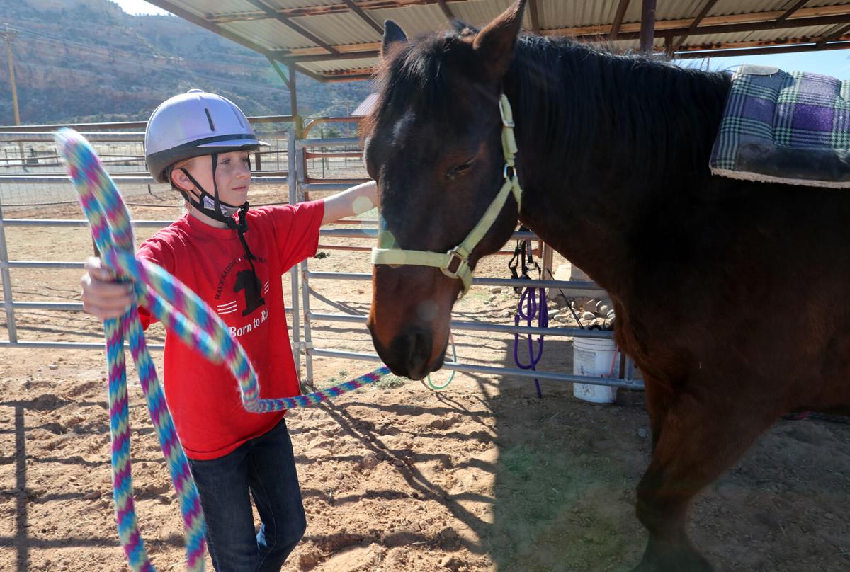 030521-Horse Rescue 9-CPT