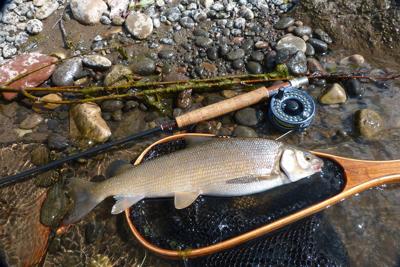 Highlight Of Recent Trip To Montana Was Hooking Five Species Of Fish In One River Fishing Gjsentinel Com