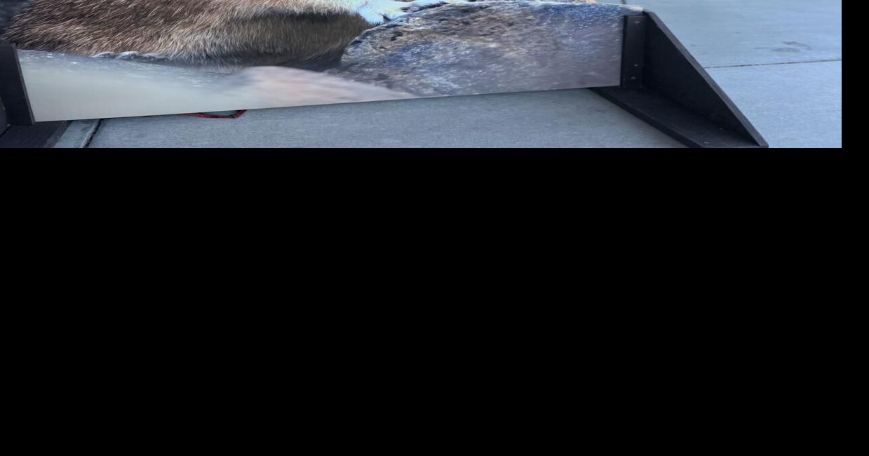 CMU prof attending U.N. Environmental Assembly