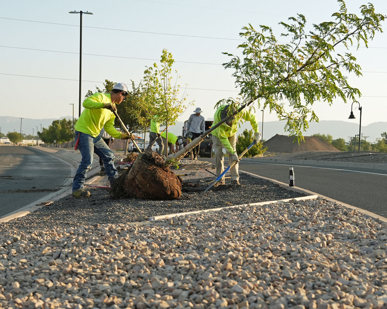 Busy year for Grand Junction tree work coming to an end Western