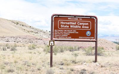 Cpw Sticking With License Requirement For Wildlife Areas After Call To Rethink Idea Western Colorado Gjsentinel Com