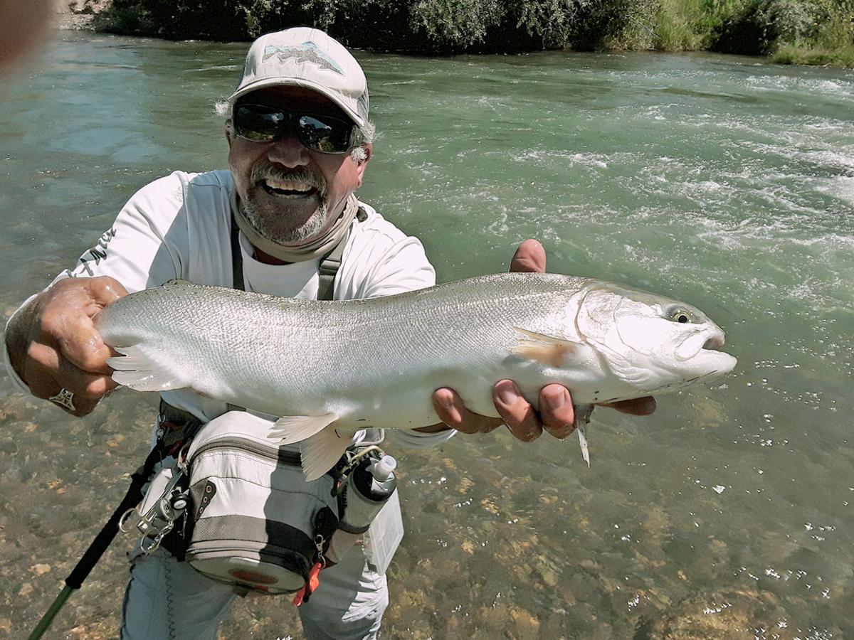 091519ysiRainbowTrout.jpg