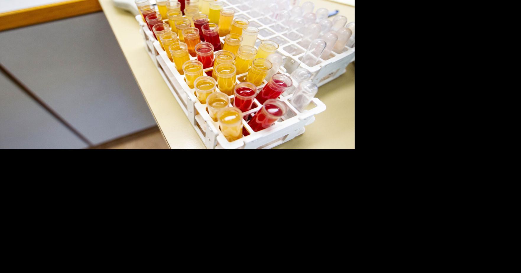 Helpful data: Juice analysis dictates grape harvest, pushes local wine ...