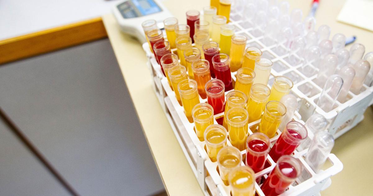 Data Juce Lab Helpful data: Juice analysis dictates grape harvest, pushes local wine ...