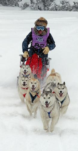 012823雪橇犬5-CPT