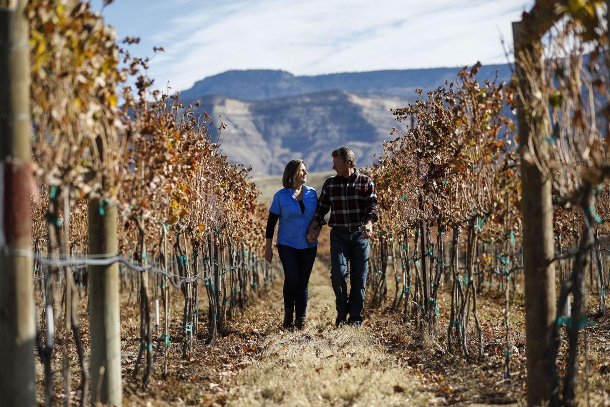 Once Home To Withering Vines Restoration Vineyards Is Palisade Area S Newest Winery Business Gjsentinel Com