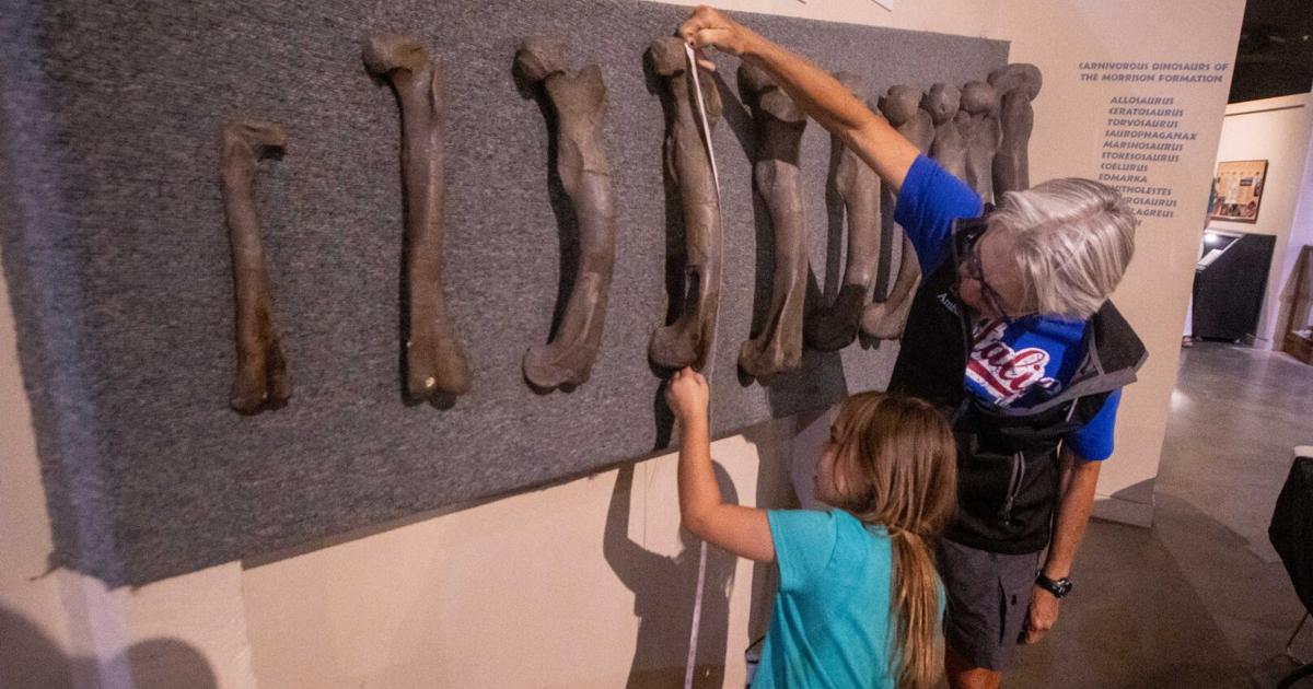 Museums of Western Colorado to consolidate under Fruita campus