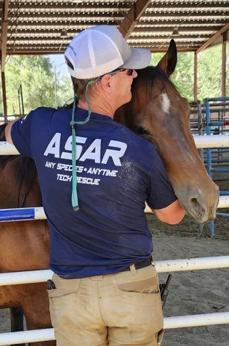 Natural Disaster Rescuing Grassroots effort to rescue animals from disaster takes shape | Western ...