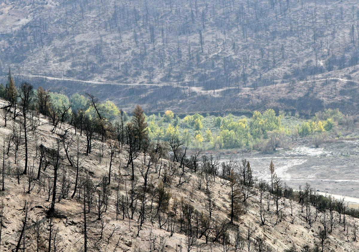 091720-Pine Gulch Restoration 6-CPT