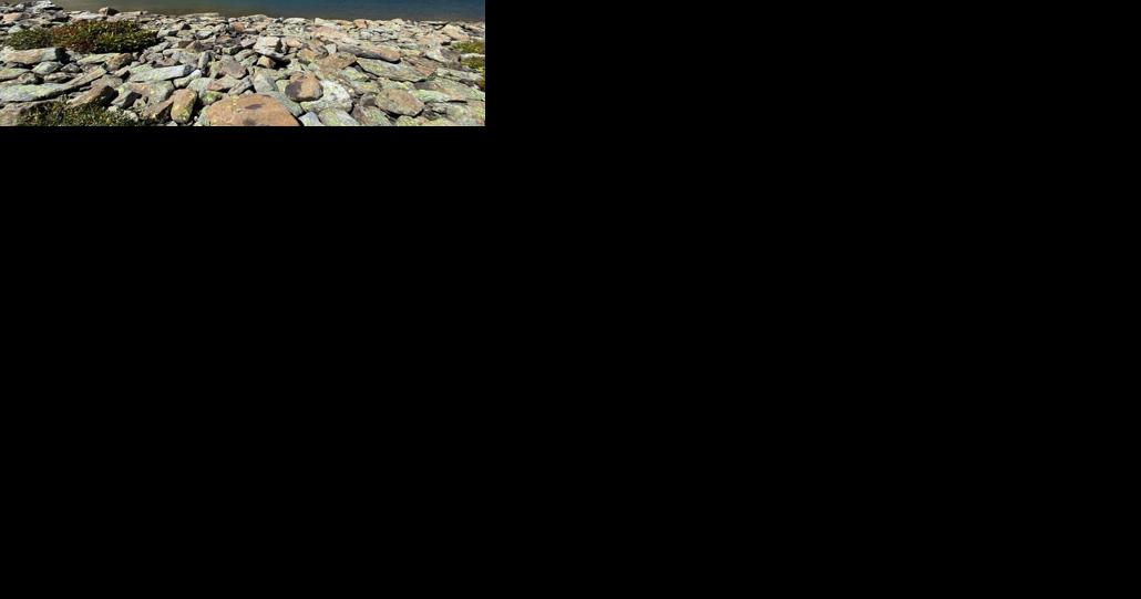 Private land near Aspen purchased and transferred to Forest Service - Vimarsana News
