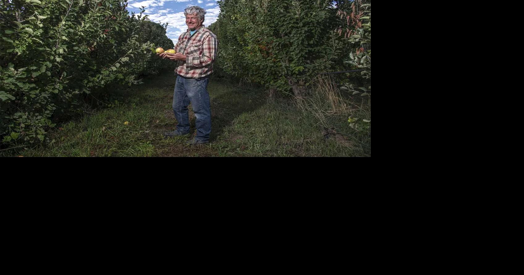 A quest to bring back Colorado’s rarest apple that was once thought ...
