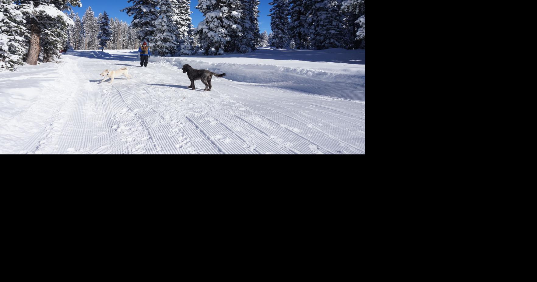 Love snow sports? Think about owning property on Grand Mesa Real