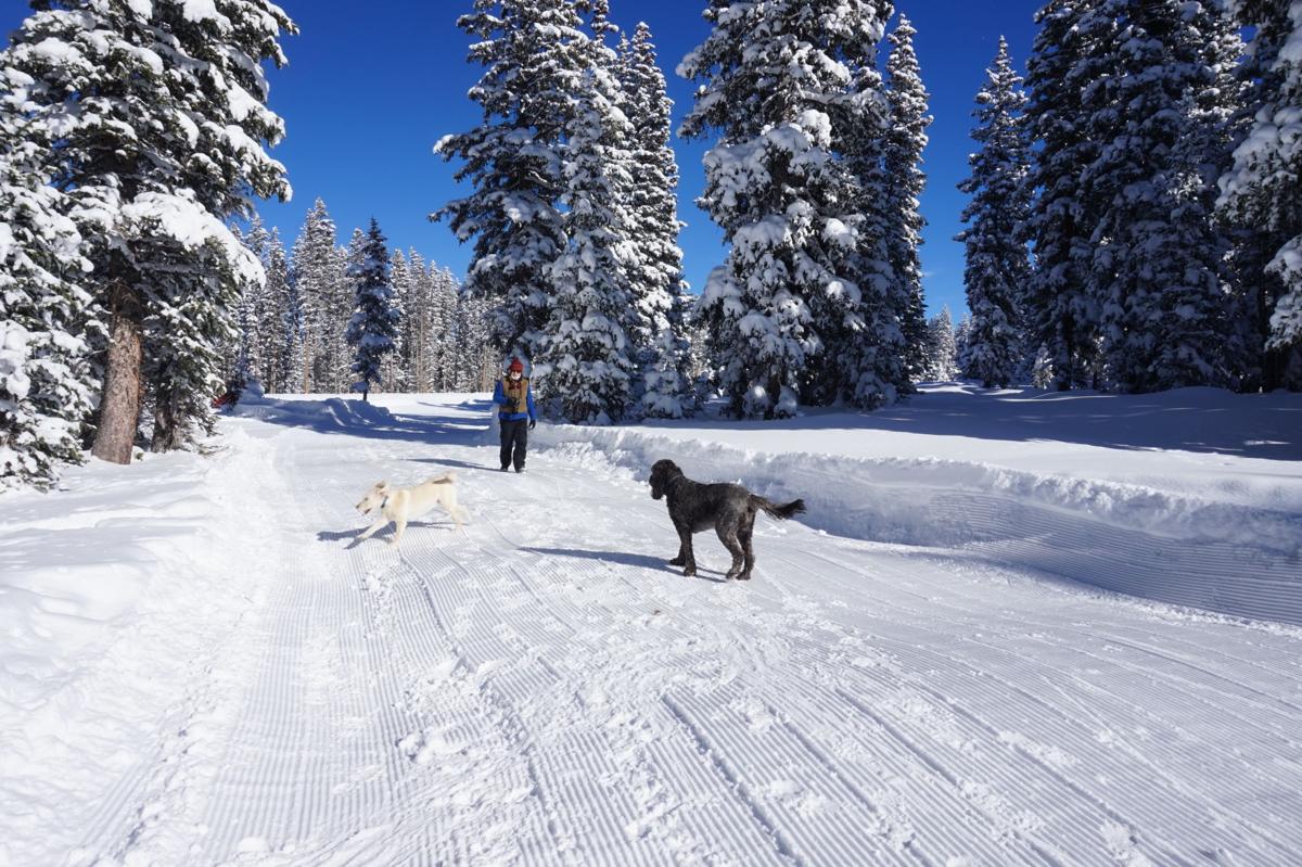 Love Snow Sports Think About Owning Property On Grand Mesa Real