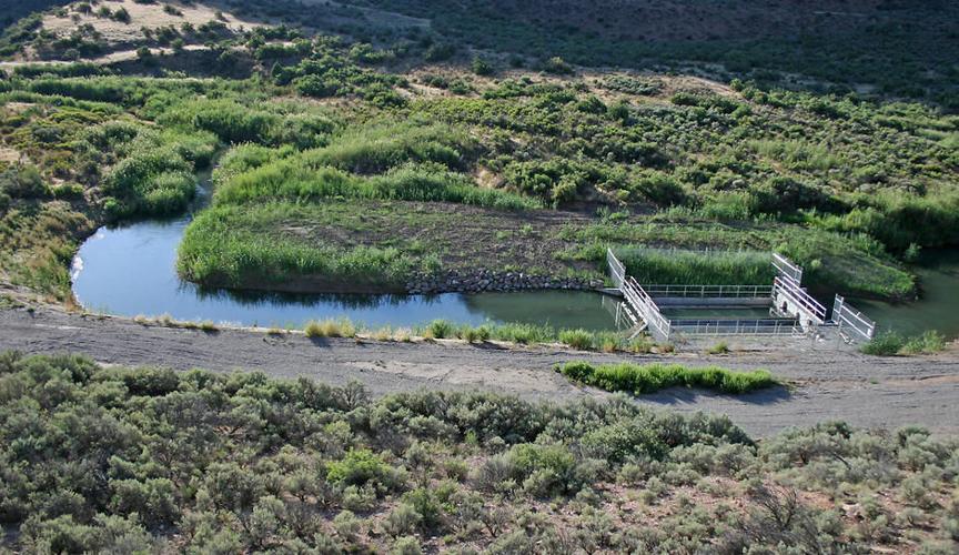 Change could mean bigger payoff for walleye anglers at Rifle Gap | News ...