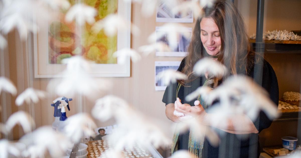 Permanent Installation GJ artist's first permanent installation 'captures the moment of making ...