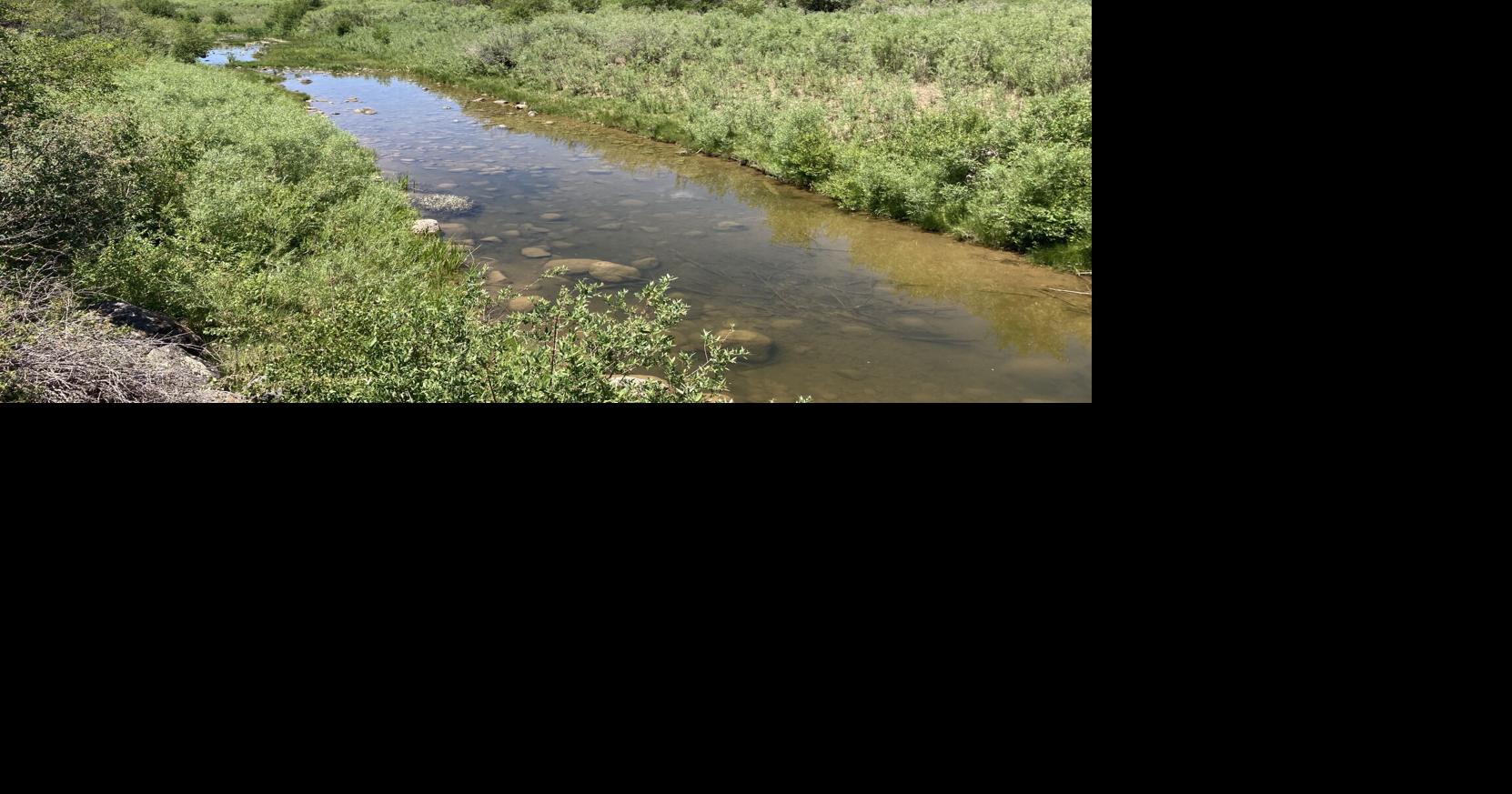 Flying Triangle Ranch conservation preserves habitat, ranch land ...