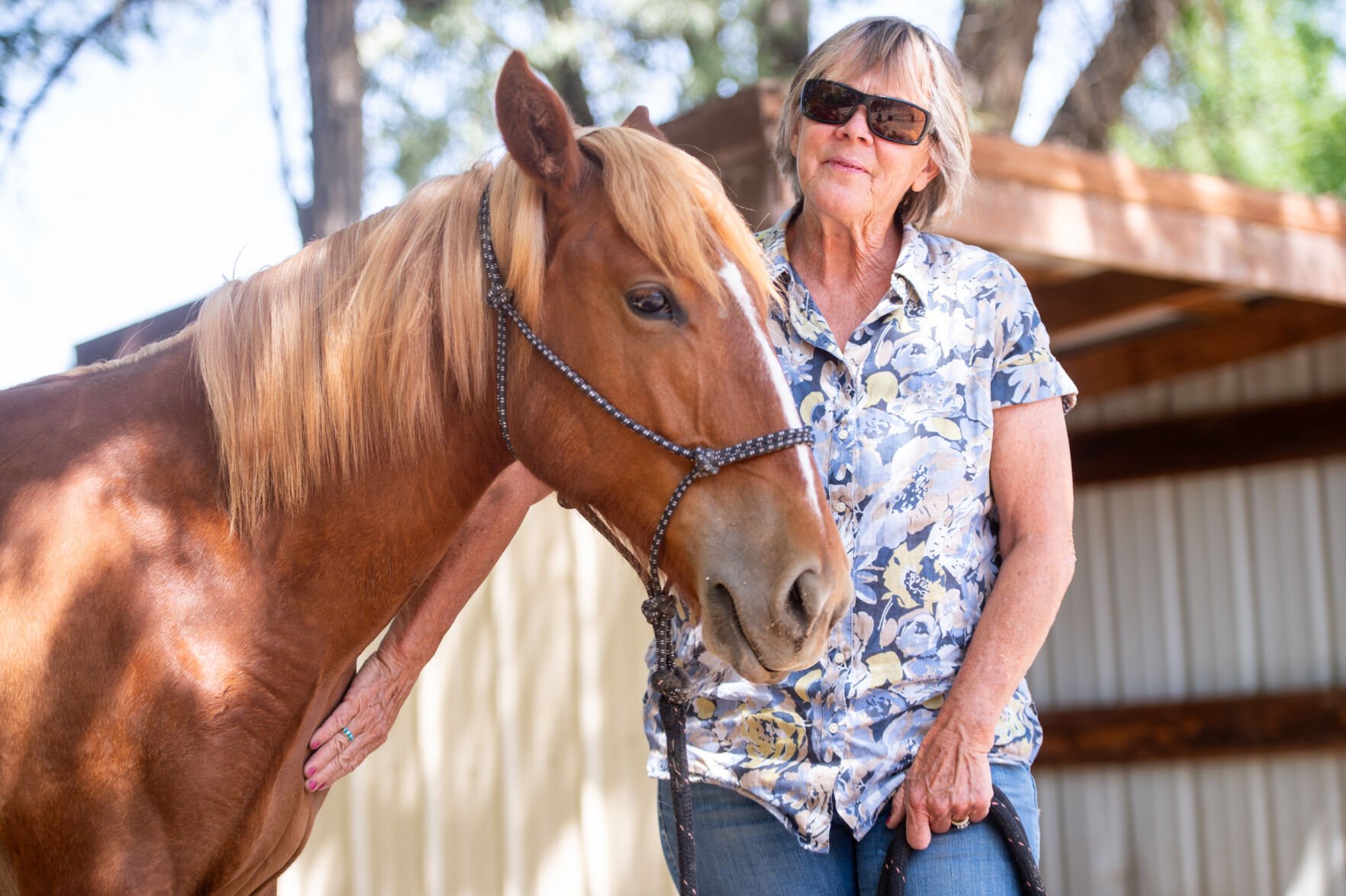 052825 LR Bookcliffs Wild Horse Fostering and Adoption Story001.JPG
