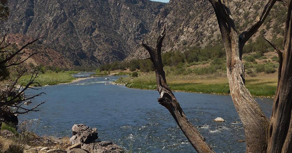 Body of missing hunter found in Delta County | Western Colorado ...