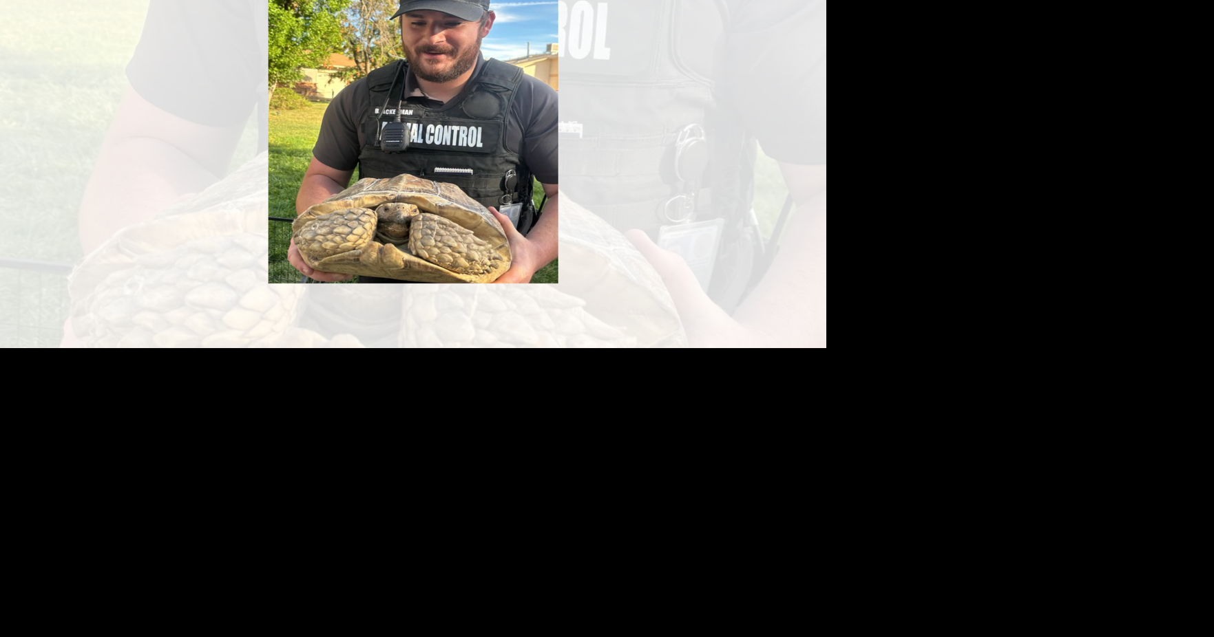 GJPD animal control specialist recounts tortoise rescue