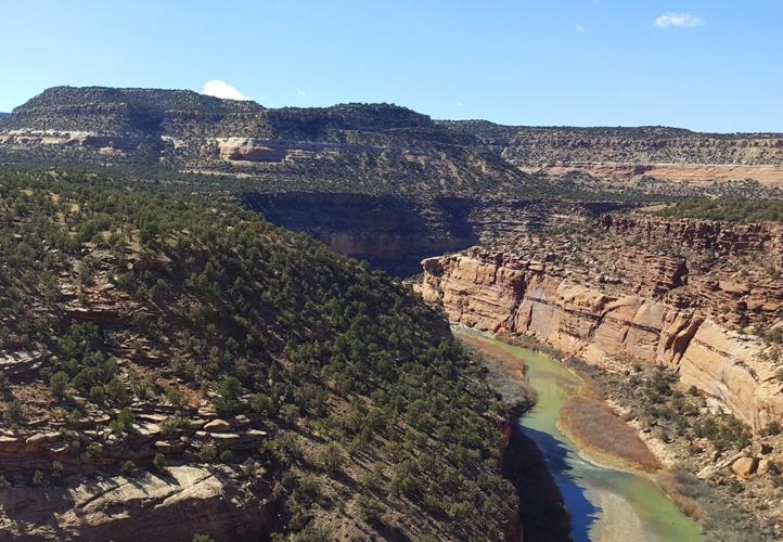 Dolores River ruling grants water right to protect native fish | Western  Colorado | gjsentinel.com