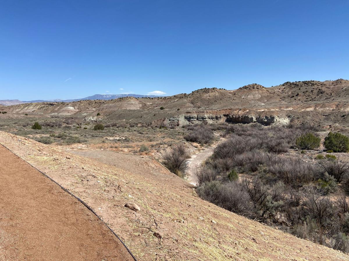 Krown stoney creek coupon