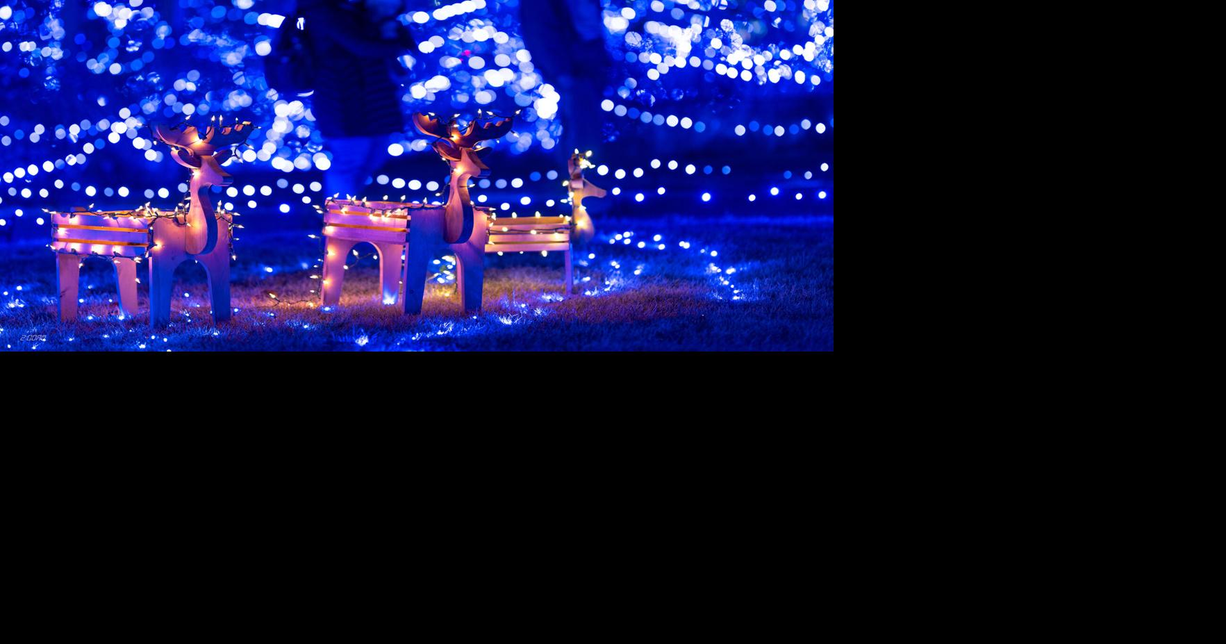 Entertainment Calendar: Dec. 3–9