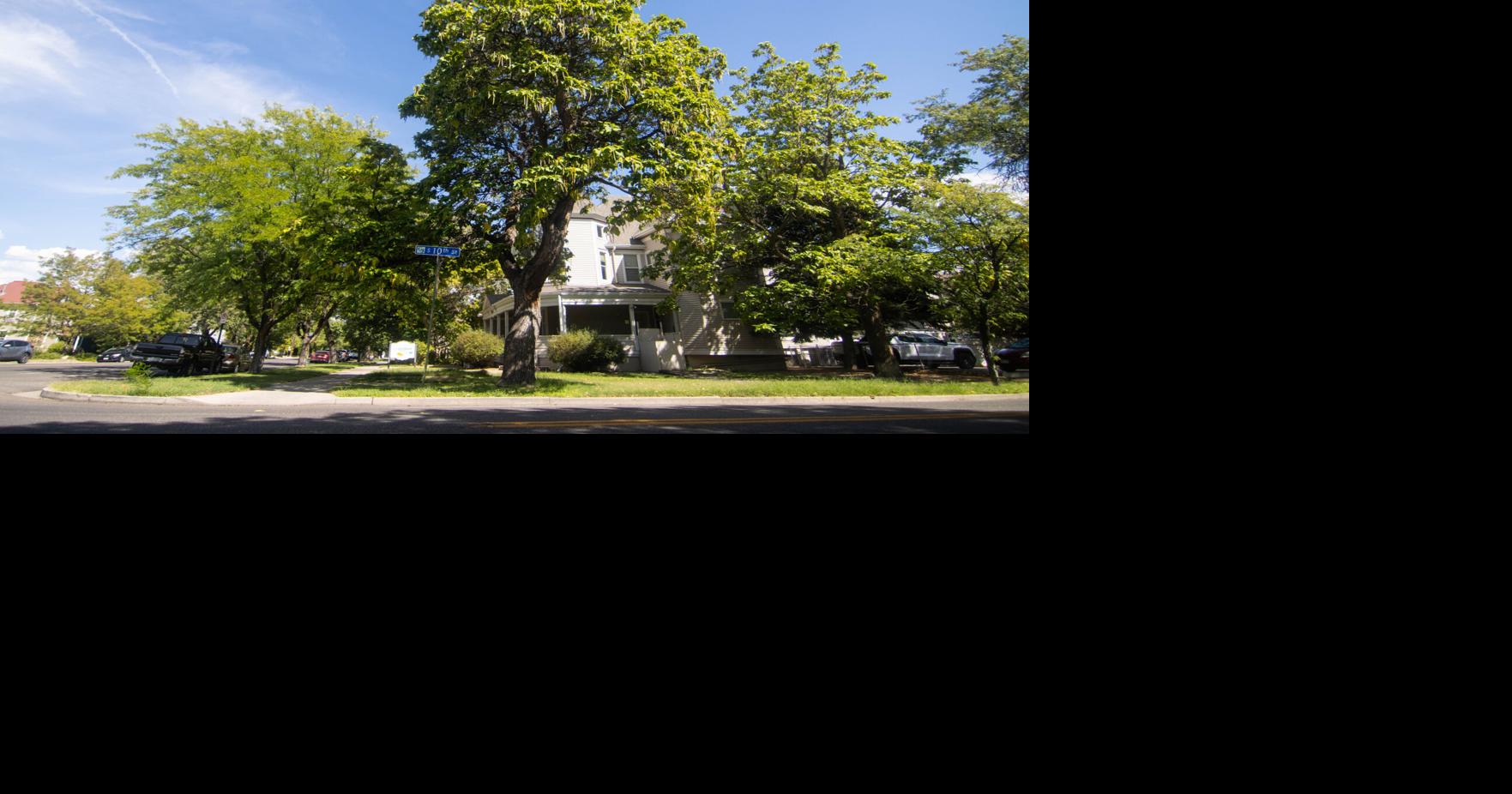 City repeals tree protection policy