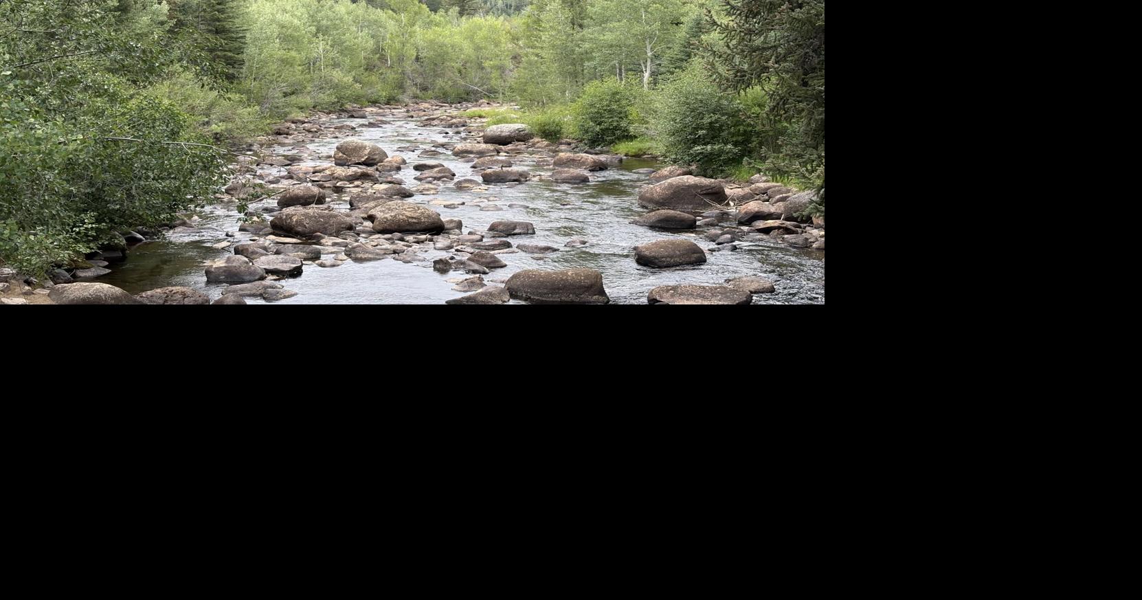 PitCo commissioners voice initial approval for another water buy
