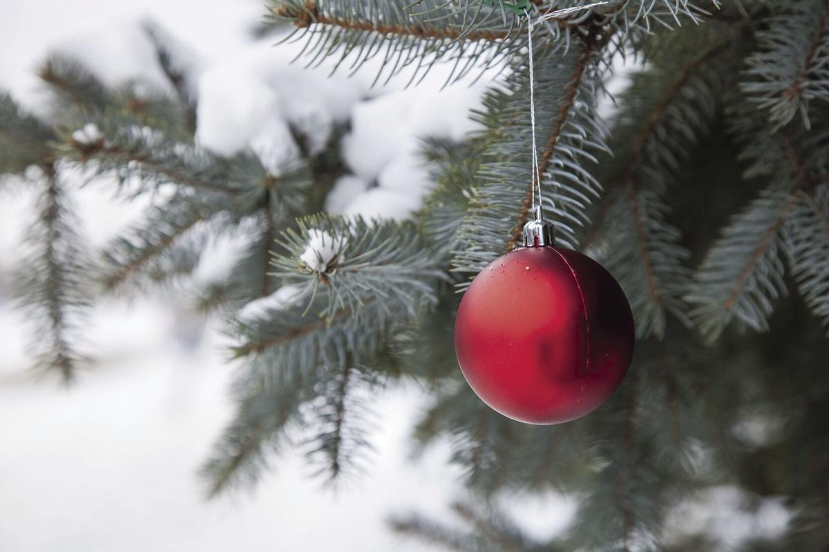 Produce Junction 2022 Christmas Trees Tree For The Season: Get The Early Pick On Christmas Trees At These Spots |  Entertainment | Gjsentinel.com
