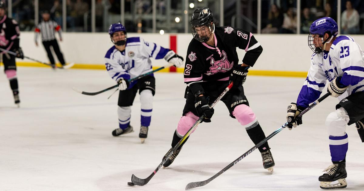 Pink The Rink Pink the Rink | Lifestyle | gjsentinel.com