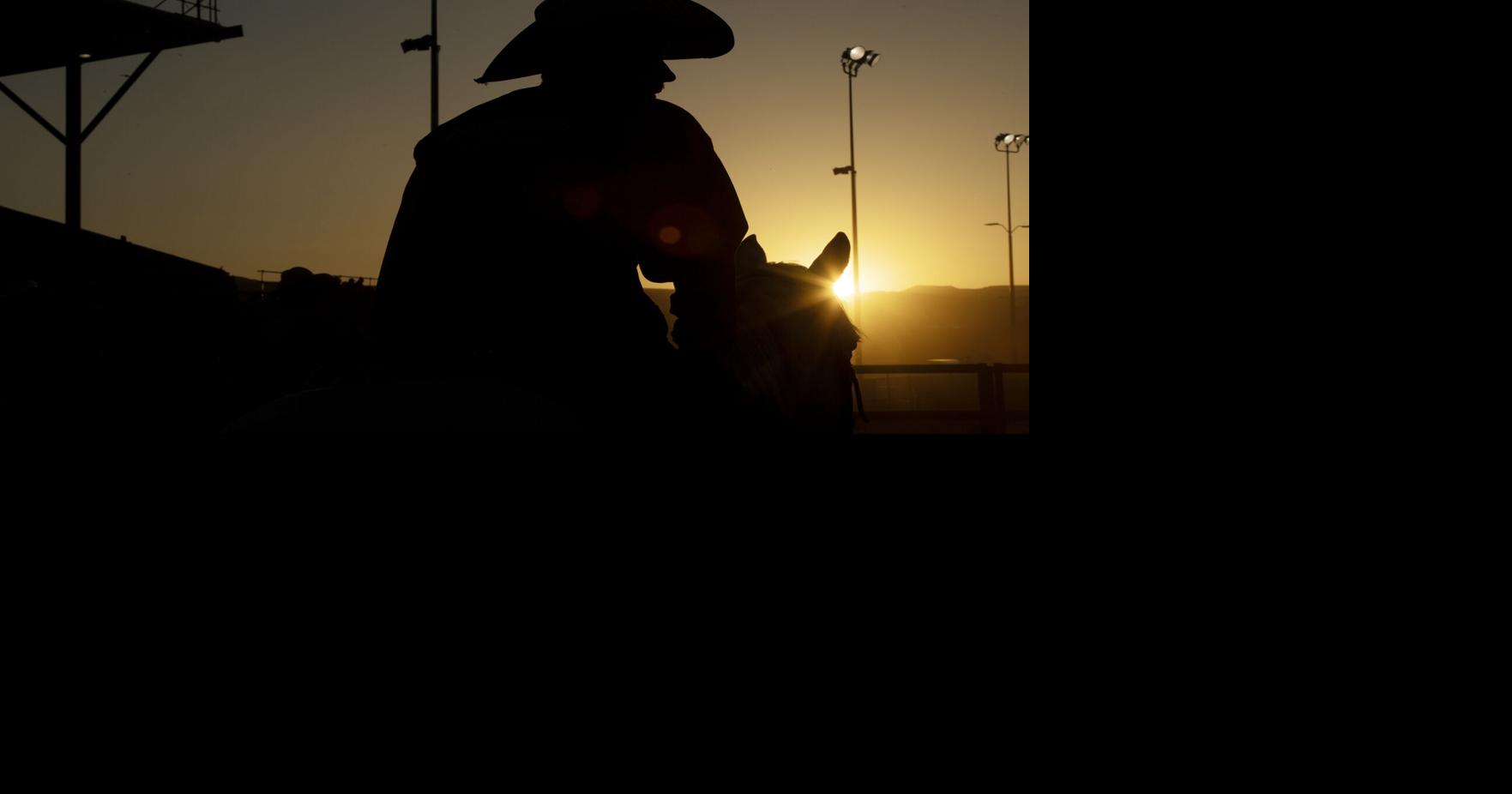 Colorado Mesa Steer Stroll & Rodeo | Lifestyle | gjsentinel.com