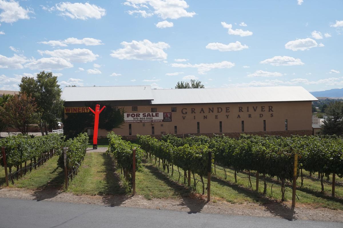 Looking For The Perfect Palisade Property Real Estate Gjsentinel Com