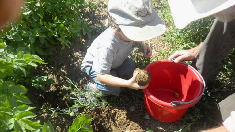 092020-spt-boypotato_6_28990.jpg