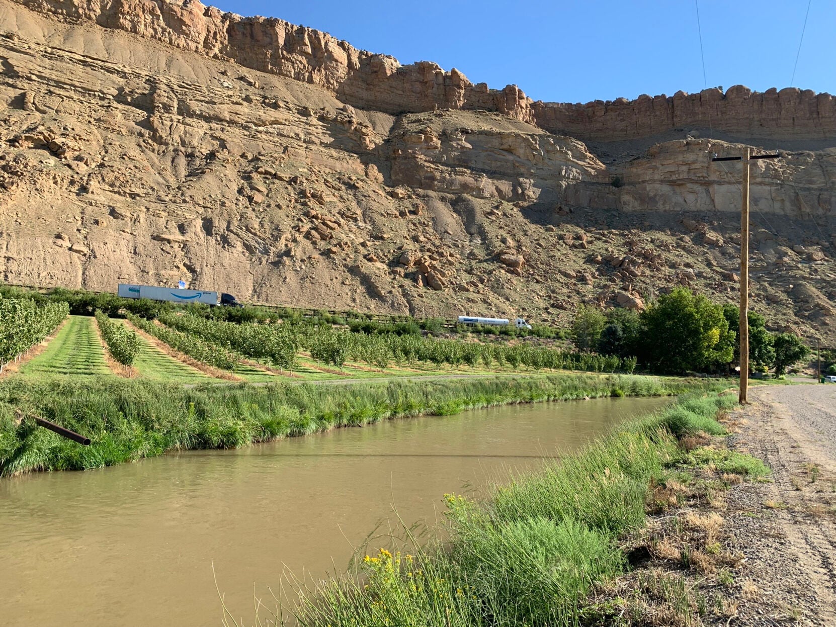 Grand Valley water managers have plan to outmuscle invasive