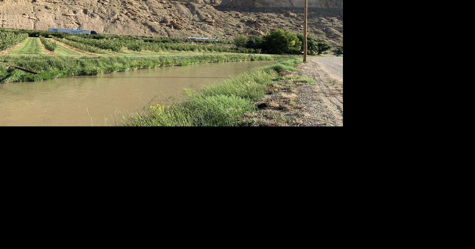 Grand Valley water managers have plan to outmuscle invasive species ...