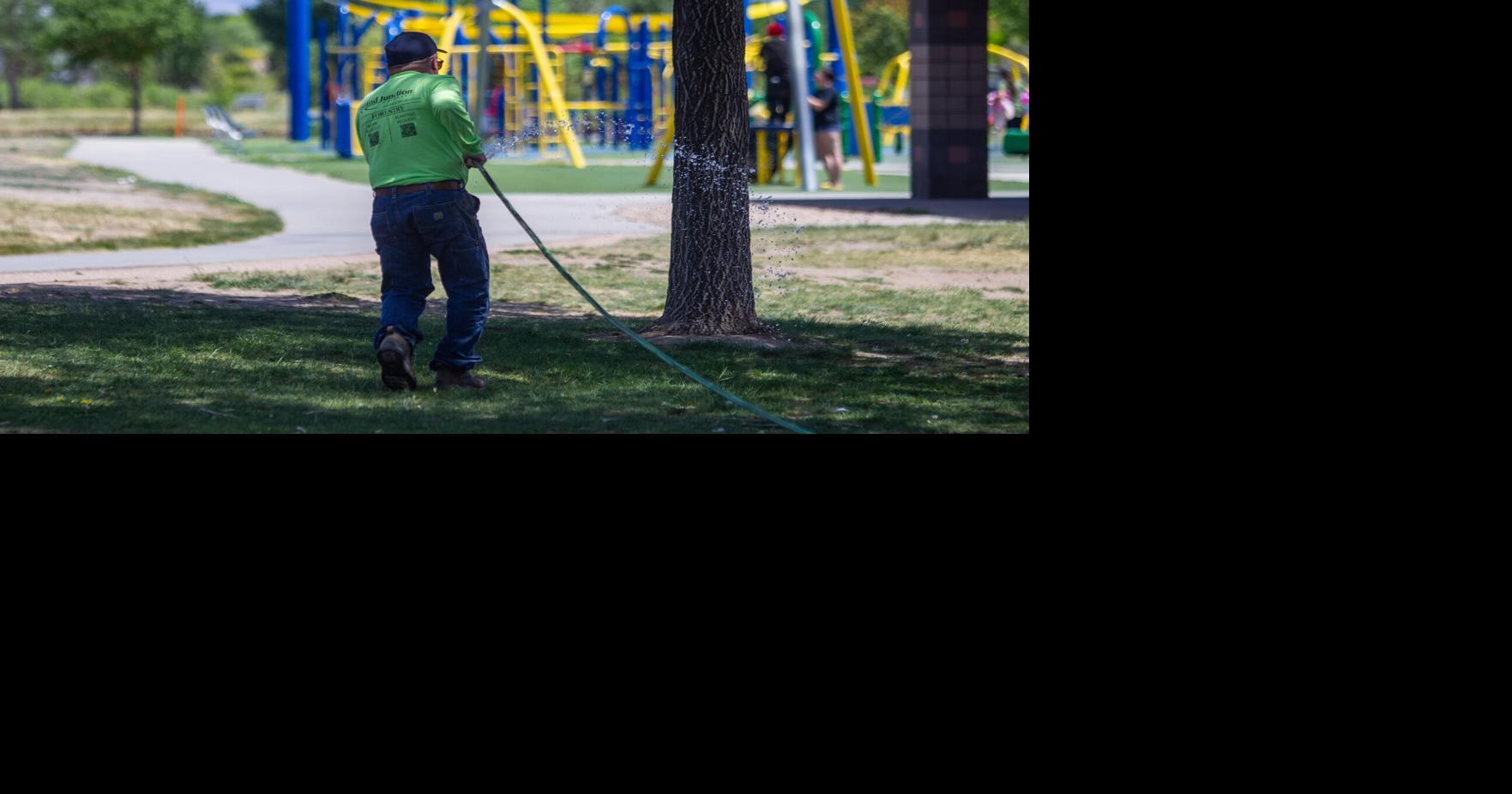 Seeing drought impacts, city asks residents to keep watering trees