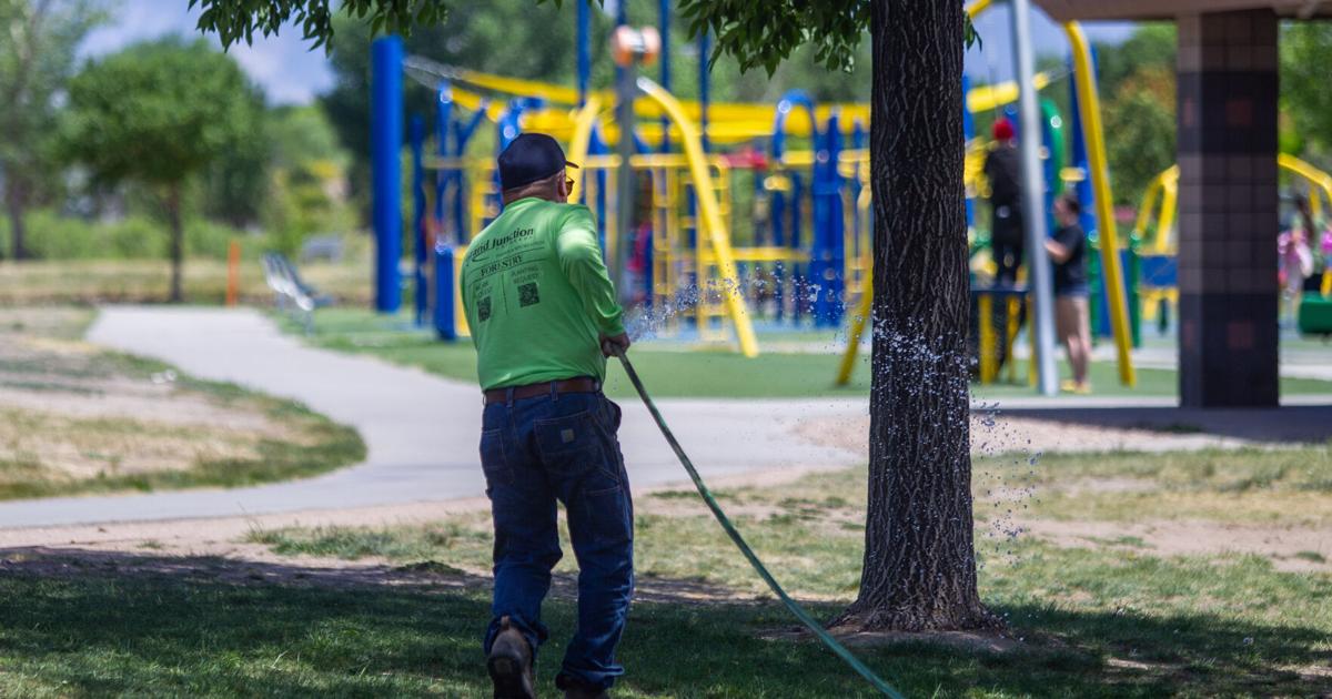 Seeing drought impacts, city asks residents to keep watering trees