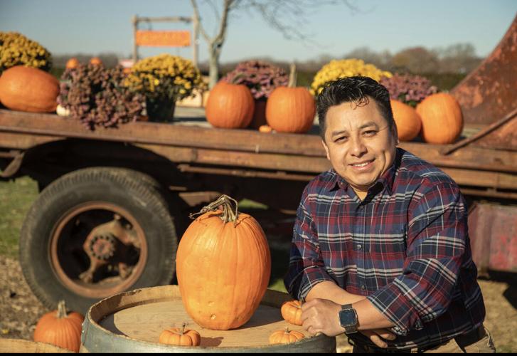 Pumpkin nights pomona coupon code