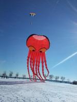 37th Cool Fool Kite & Snow Carving Festival