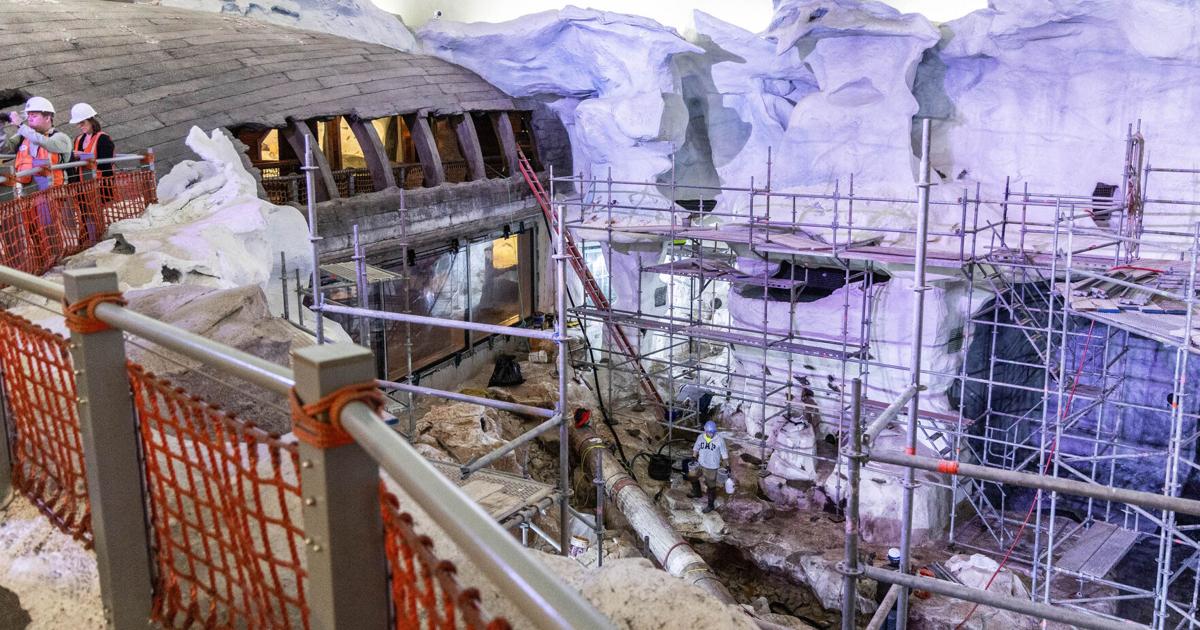 SeaWorld names that flying Arctic ride: Expedition Odyssey | Travel SeaWorld names that flying Arctic ride: Expedition Odyssey | Travel