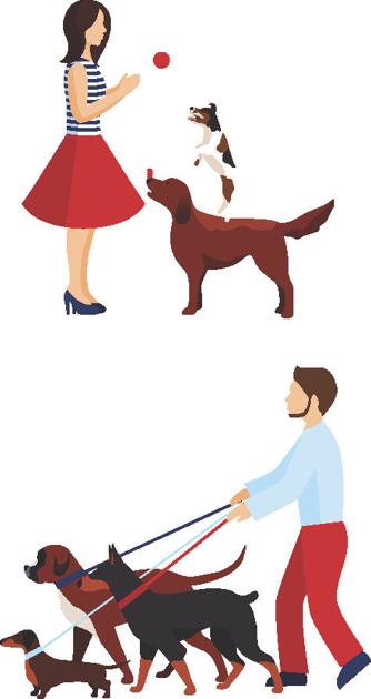 Happy Pets Happy Life Pets Gmtoday Com