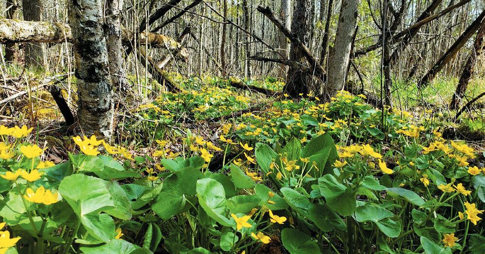 Ozaukee adventures included in new statewide catalog