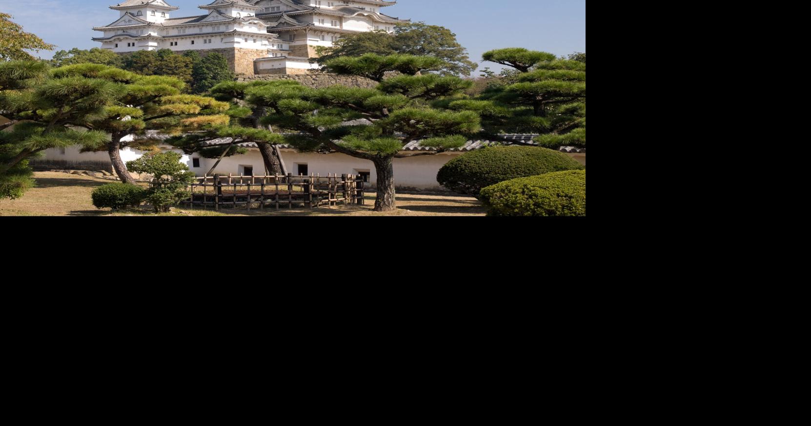 Japan really should charge tourists four times more | Travel